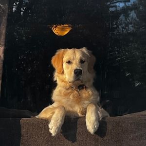 Meet your Posher, Susan